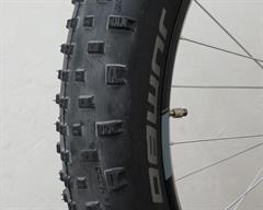 Closeup of Schwalbe Jumbo Jim